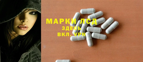 прущие грибы Армянск