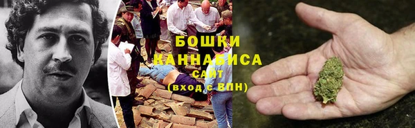 прущие грибы Армянск